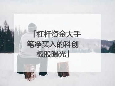 杠杆资金大手笔净买入的科创板股曝光