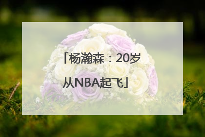 杨瀚森：20岁从NBA起飞