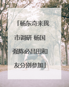 杨东奇来我市调研 杨国强陈必昌田和友分别参加