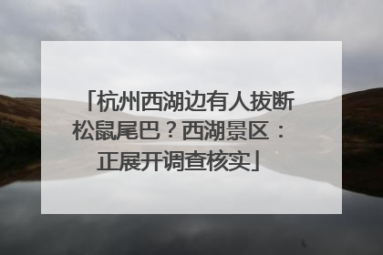 杭州西湖边有人拔断松鼠尾巴？西湖景区：正展开调查核实