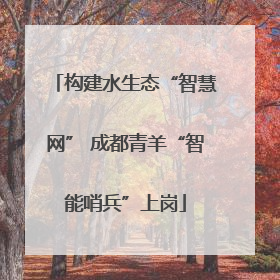 构建水生态“智慧网” 成都青羊“智能哨兵”上岗