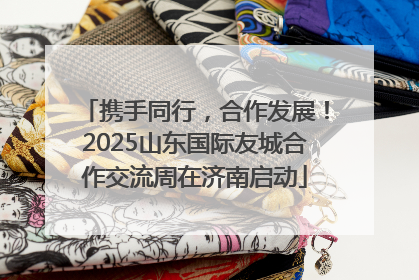 携手同行，合作发展！2025山东国际友城合作交流周在济南启动