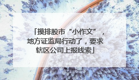 摸排股市“小作文”，地方证监局行动了，要求辖区公司上报线索