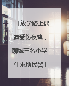 放学路上偶遇受伤夜鹭，聊城三名小学生求助民警