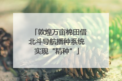敦煌万亩棉田借北斗导航播种系统实现“精种”