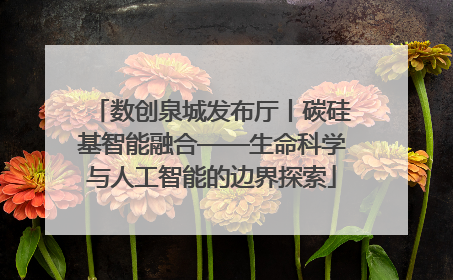 数创泉城发布厅丨碳硅基智能融合——生命科学与人工智能的边界探索