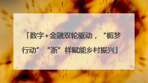 数字+金融双轮驱动，“栀梦行动”“浙”样赋能乡村振兴