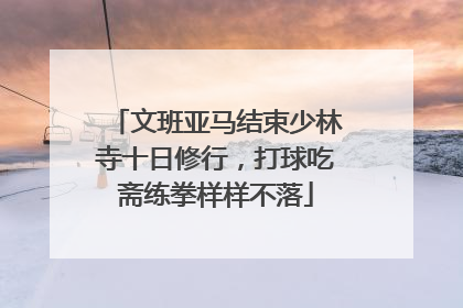 文班亚马结束少林寺十日修行，打球吃斋练拳样样不落