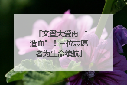 文登大爱再 “造血”！三位志愿者为生命续航