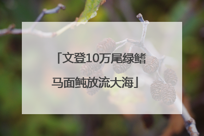 文登10万尾绿鳍马面鲀放流大海