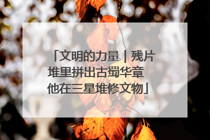 文明的力量｜残片堆里拼出古蜀华章 他在三星堆修文物