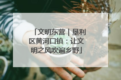 文明东营｜垦利区黄河口镇：让文明之风吹遍乡野