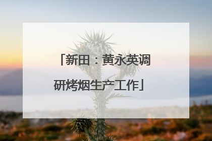 新田：黄永英调研烤烟生产工作