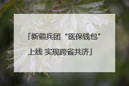 新疆兵团“医保钱包”上线 实现跨省共济