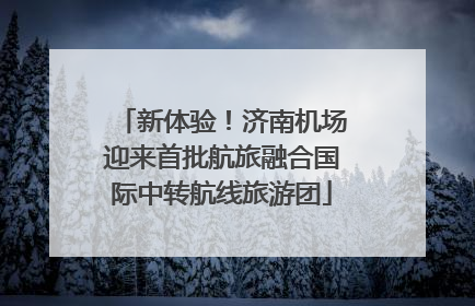 新体验！济南机场迎来首批航旅融合国际中转航线旅游团