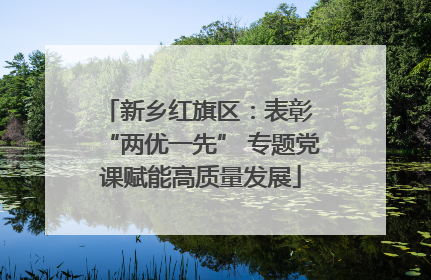 新乡红旗区：表彰 “两优一先” 专题党课赋能高质量发展