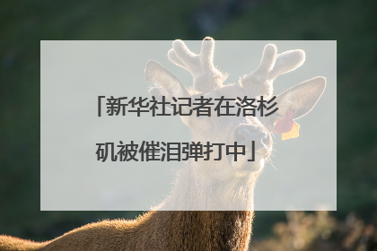 新华社记者在洛杉矶被催泪弹打中