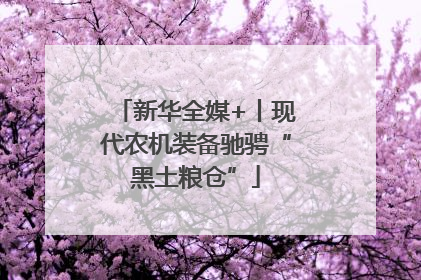 新华全媒+丨现代农机装备驰骋“黑土粮仓”