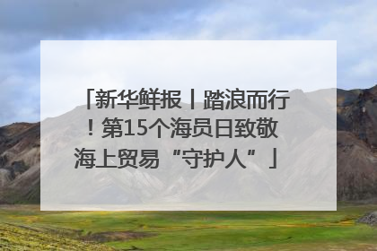 新华鲜报丨踏浪而行！第15个海员日致敬海上贸易“守护人”