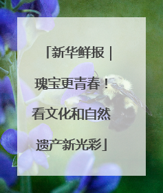 新华鲜报｜瑰宝更青春！看文化和自然遗产新光彩