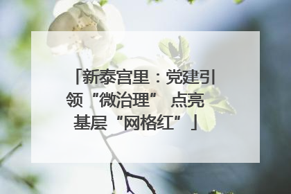 新泰宫里：党建引领“微治理” 点亮基层“网格红”