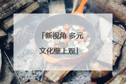 新视角 多元文化壁上观