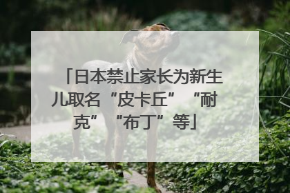 日本禁止家长为新生儿取名“皮卡丘”“耐克”“布丁”等