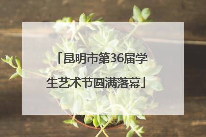 昆明市第36届学生艺术节圆满落幕
