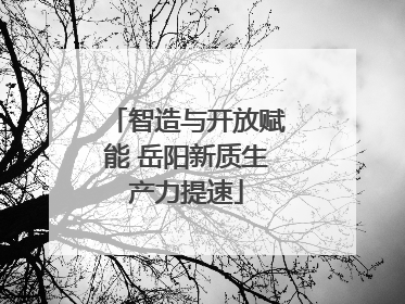 智造与开放赋能 岳阳新质生产力提速