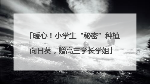 暖心！小学生“秘密”种植向日葵，赠高三学长学姐