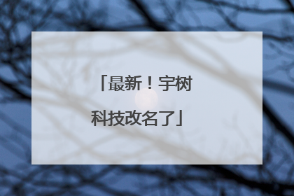 最新！宇树科技改名了