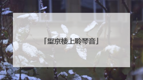 望京楼上聆琴音