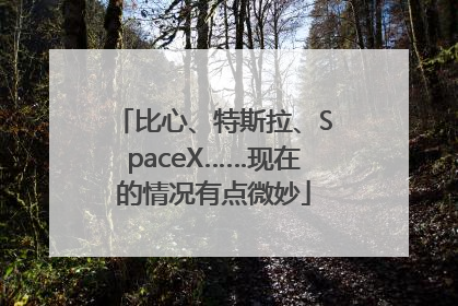 比心、特斯拉、SpaceX……现在的情况有点微妙