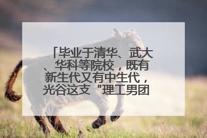 毕业于清华、武大、华科等院校，既有新生代又有中生代，光谷这支“理工男团”为何“出道”？