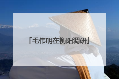 毛伟明在衡阳调研