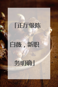 正厅级陈白薇，新职务明确