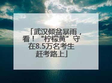 武汉倾盆暴雨，看！“柠檬黄”守在8.5万名考生赶考路上