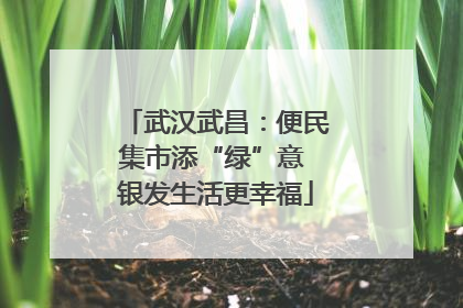 武汉武昌：便民集市添“绿”意 银发生活更幸福