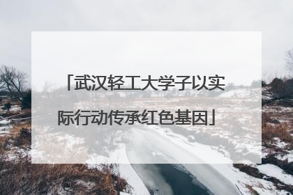 武汉轻工大学子以实际行动传承红色基因