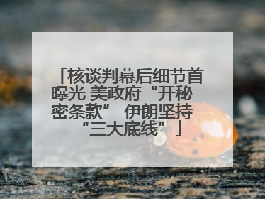 核谈判幕后细节首曝光 美政府“开秘密条款” 伊朗坚持“三大底线”