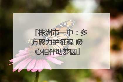 株洲市一中：多方聚力护征程 暖心相伴助梦圆