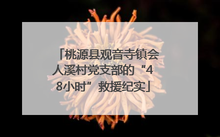 桃源县观音寺镇会人溪村党支部的“48小时”救援纪实