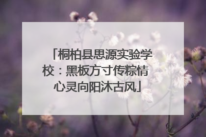 桐柏县思源实验学校：黑板方寸传粽情 心灵向阳沐古风