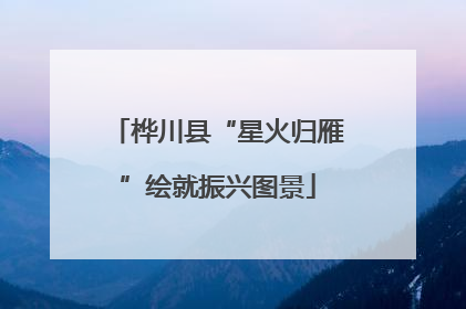 桦川县“星火归雁”绘就振兴图景