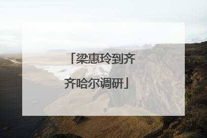 梁惠玲到齐齐哈尔调研