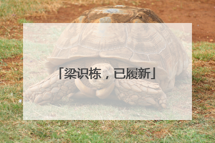 梁识栋，已履新