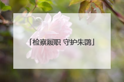 检察履职 守护朱鹮
