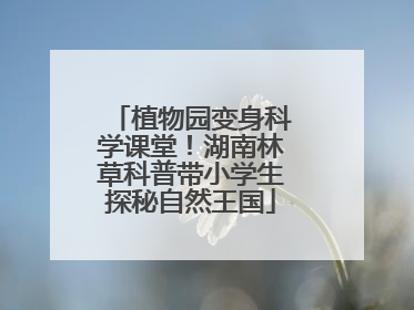 植物园变身科学课堂！湖南林草科普带小学生探秘自然王国