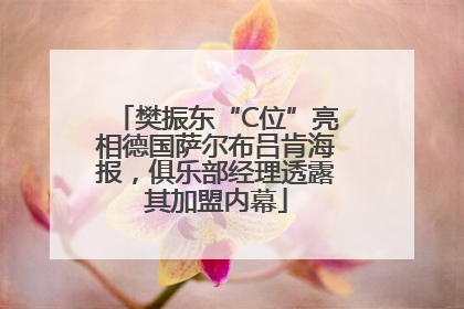 樊振东“C位”亮相德国萨尔布吕肯海报，俱乐部经理透露其加盟内幕