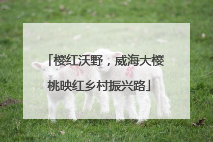 樱红沃野，威海大樱桃映红乡村振兴路